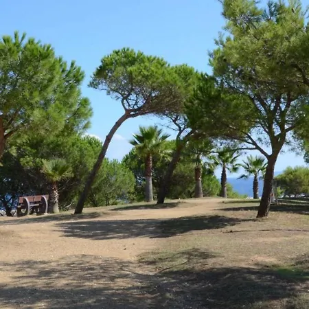 Apartment Bormes-les-mimosas, 2 Pieces, 4 Personnes - Fr-1-713-4 Bormes-les-Mimosas